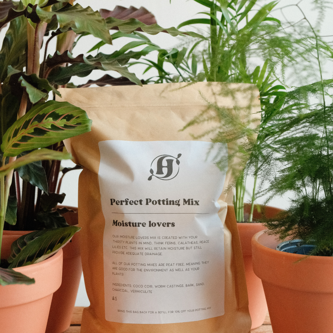 The Perfect Potting Mix - Moisture Lovers