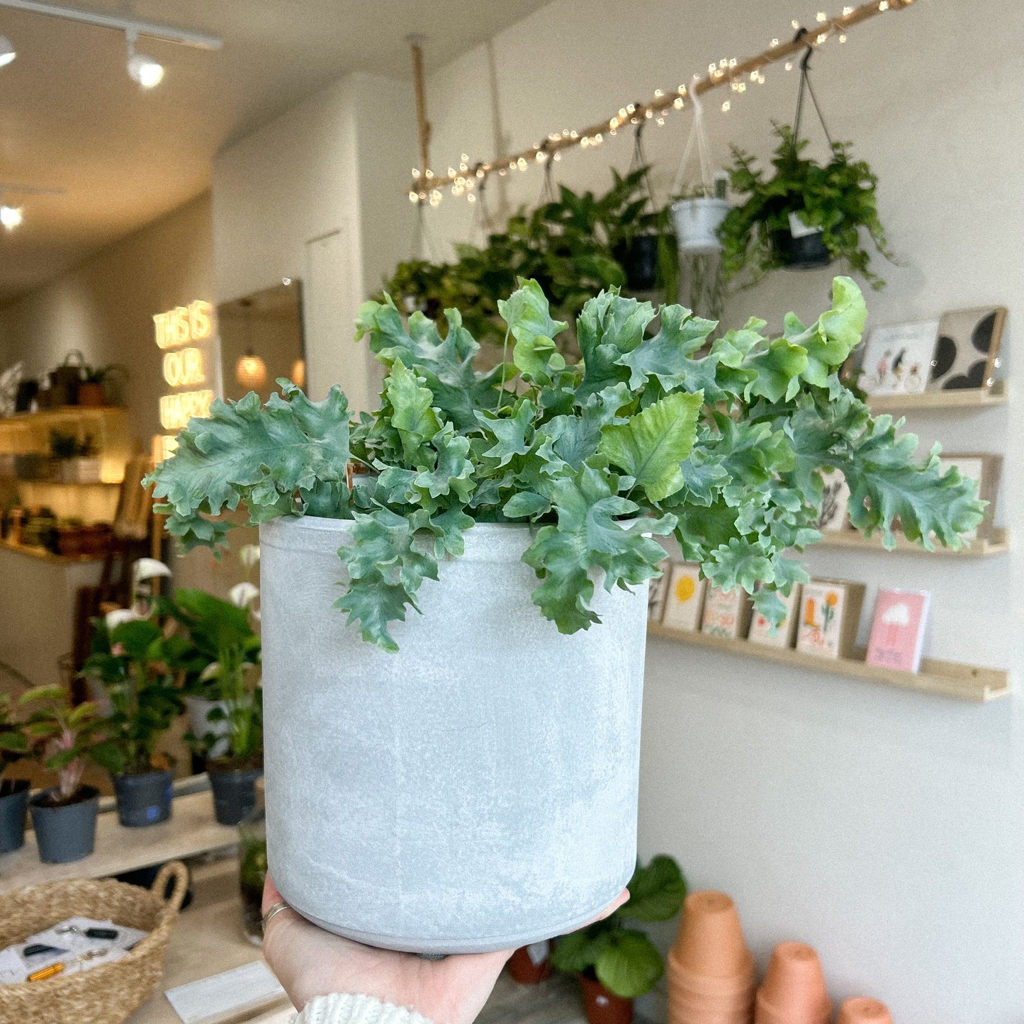 Tivoli Planter - Grey 18cm