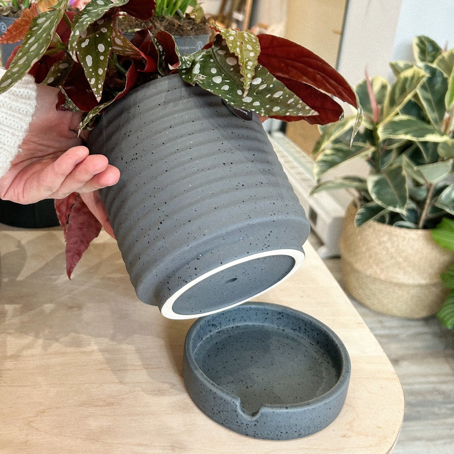 Luna Stoneware Planter & Saucer Grey